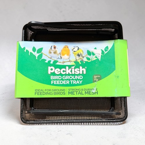 Peckish bird ground feeder - bird,