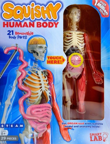 Smartlab squishy human - smartlab,