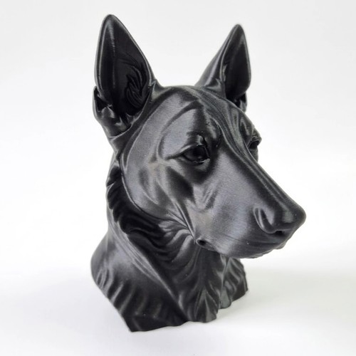 Dutch shepherd dog bust home - bust,