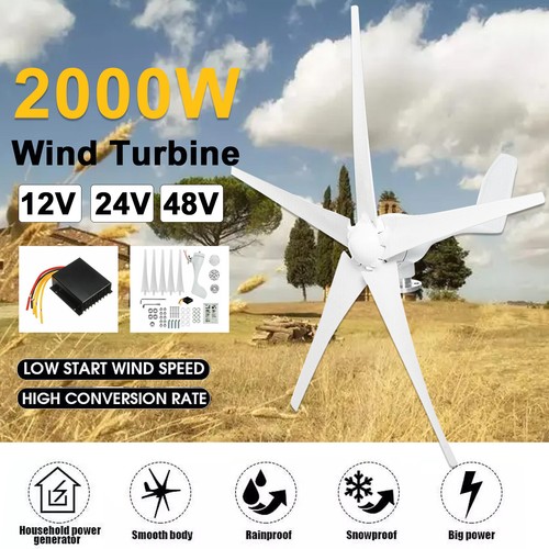 2000w 12v 24v 48v - 24v, turbine