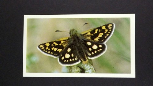 Grandee cigar card - cigar,