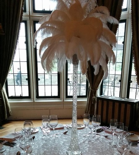 Ostrich feather centerpiece - feather,