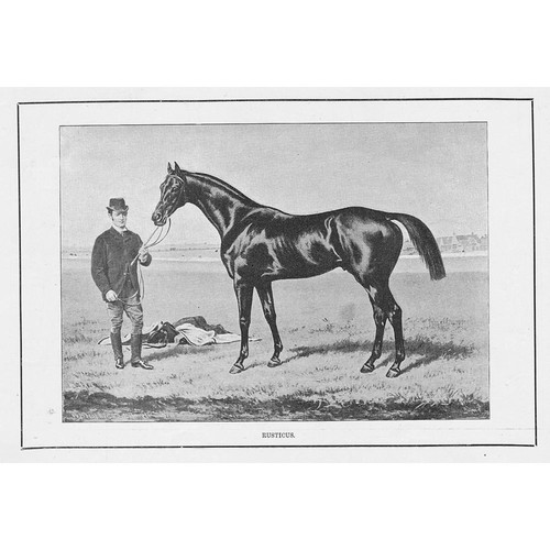 Rusticus champion race horse - champion,