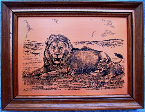 Joel kirk africa - kirk, savannah