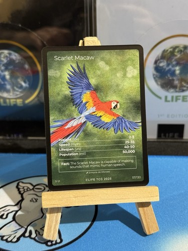 Life tcg birds - birds,