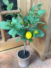 Realistic Artificial Lemon Tree In Terracotta Planter Pot  60cm
