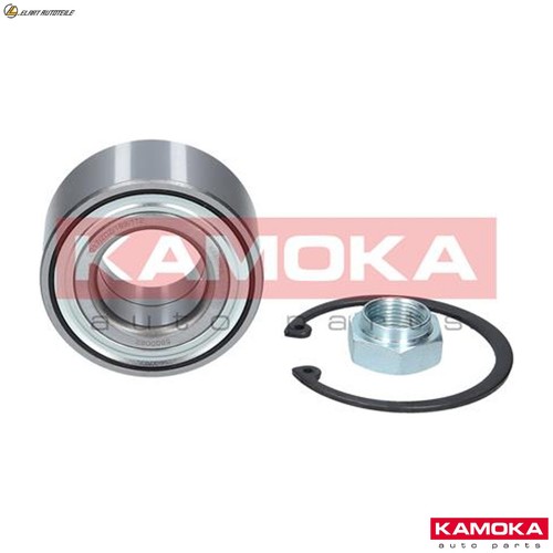 Wheel bearing kit - wheel,