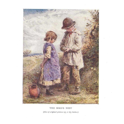 Myles birket foster the birds - foster,