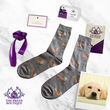 YELLOW LABRADOR FUN SOCKS