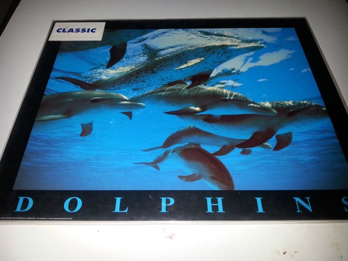 Classic art print - ref, dolphins