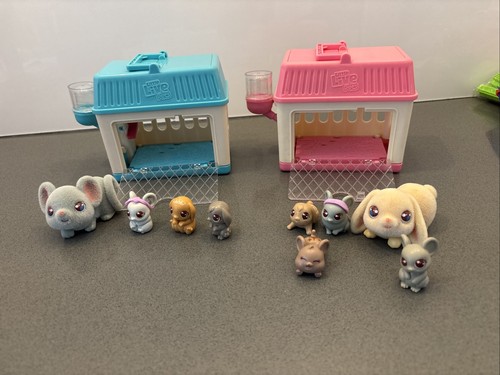 Live little pets - live, rabbits,