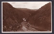 Wales Carmarthen GWILI VALLEY
