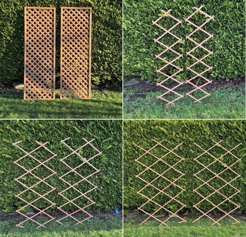 Garden trellis wooden - trellis,