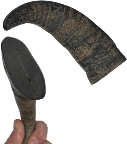 Buffalo horn for dogs - buffalo,