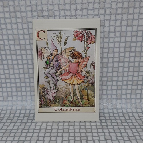 Flower fairies cicely - flower, mary