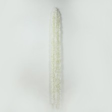 10 pack 6.5 ft White long