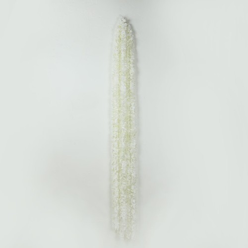 Pack ft white long - 10,