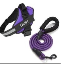 Perfect Fit, No Pull Dog