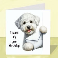 Bedlington Terrier Dog