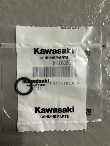 Oem genuine kawasaki er5 - genuine,