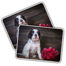 2x Vinyl Sticker English