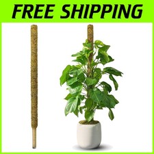 Large Moss Pole for Monstera