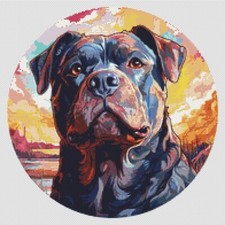 American Bully Puppy Dog