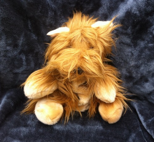 Nice soft plush yorkshire - nice,