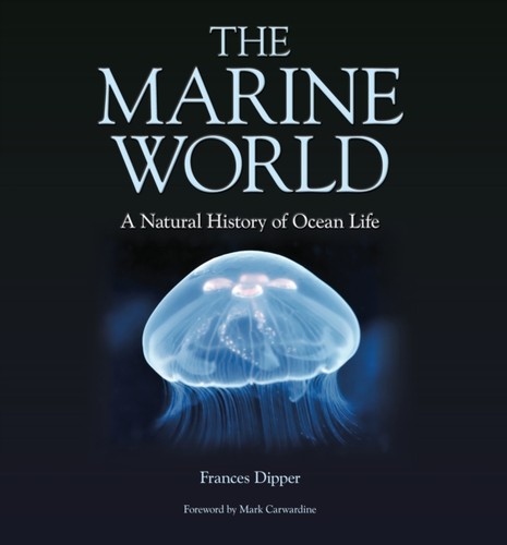 Marine world frances - marine, by