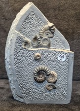 Calcite Jurassic Ammonite