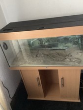 Juwel Rio 180 Aquarium Fish