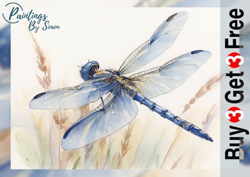 Dragonfly 5x7 print - 5x7, matte