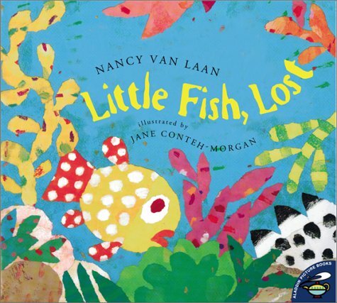 Little fish lost - lost, (paperback)