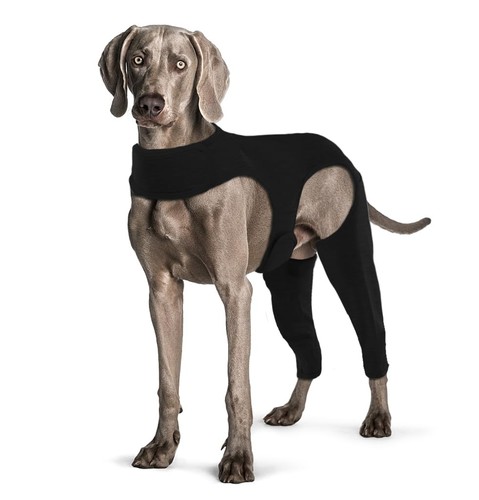 Yoolhamy dog surgery - yoolhamy, recovery