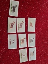 Grandee Cigarette Cards Top Dogs Collection  8/25