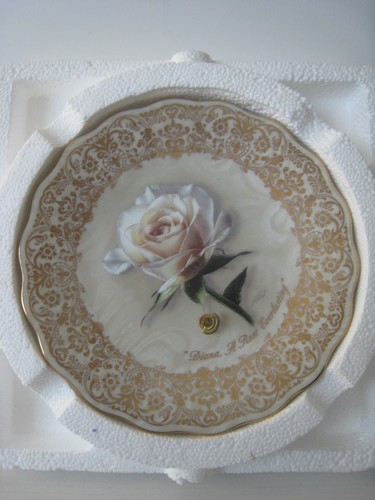 Princess diana rose - princess, a