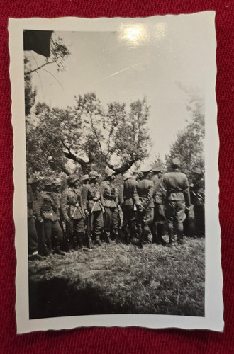 Wehrmacht camo steel helmets - wehrmacht,