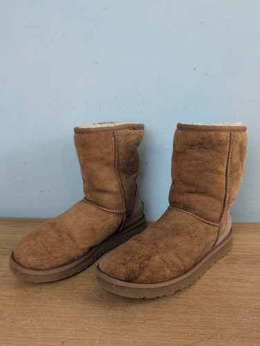 Ugg australia classic - classic, short