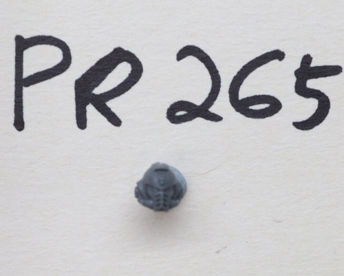 Space marine intercessor - space,