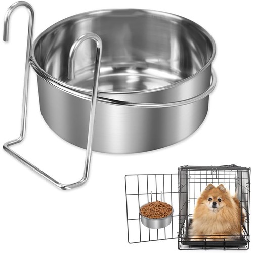 Dog puppy cat pet - dog,