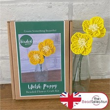 Welsh Poppy Flower Craft Kit