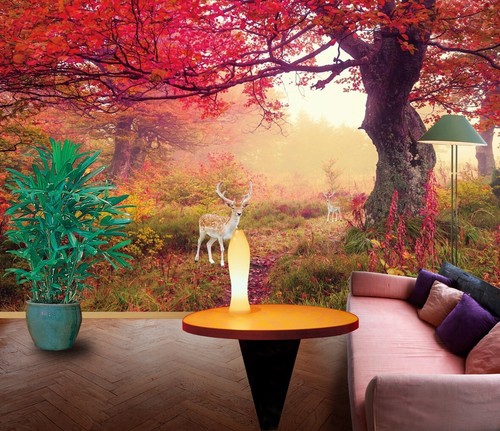 Red forest r11668 wallpaper - 3d,