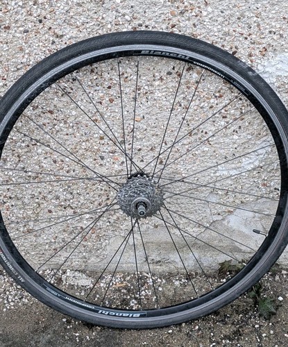 Bianchi ambrosio 700c rear - bianchi,