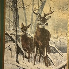 Vtg Christmas Card Unused Deer