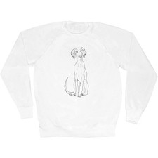 'Saluki Puppy' Adult