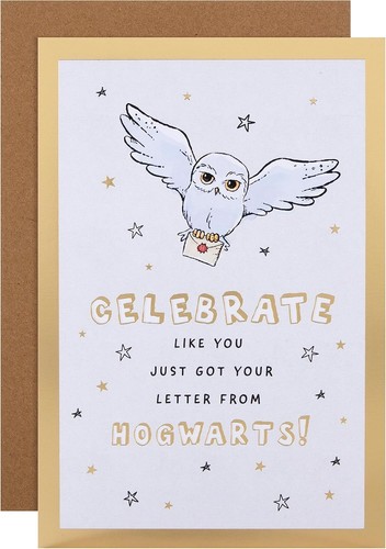 Harry potter hedwig - harry, owl