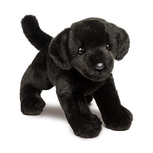 Douglas brewster black lab dog - brewster,
