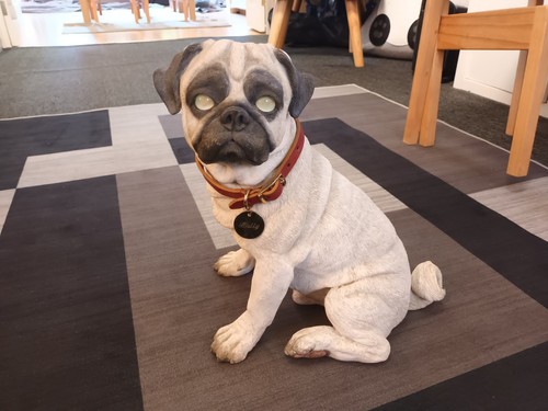 Pug puppy country artists top - pug,