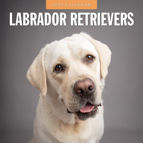 Labrador retrievers 2026 - labrador,
