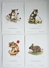 Set 4 Joel Kirk Wildlife